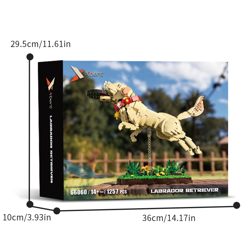 Xbert 66060 Labrador Retriever