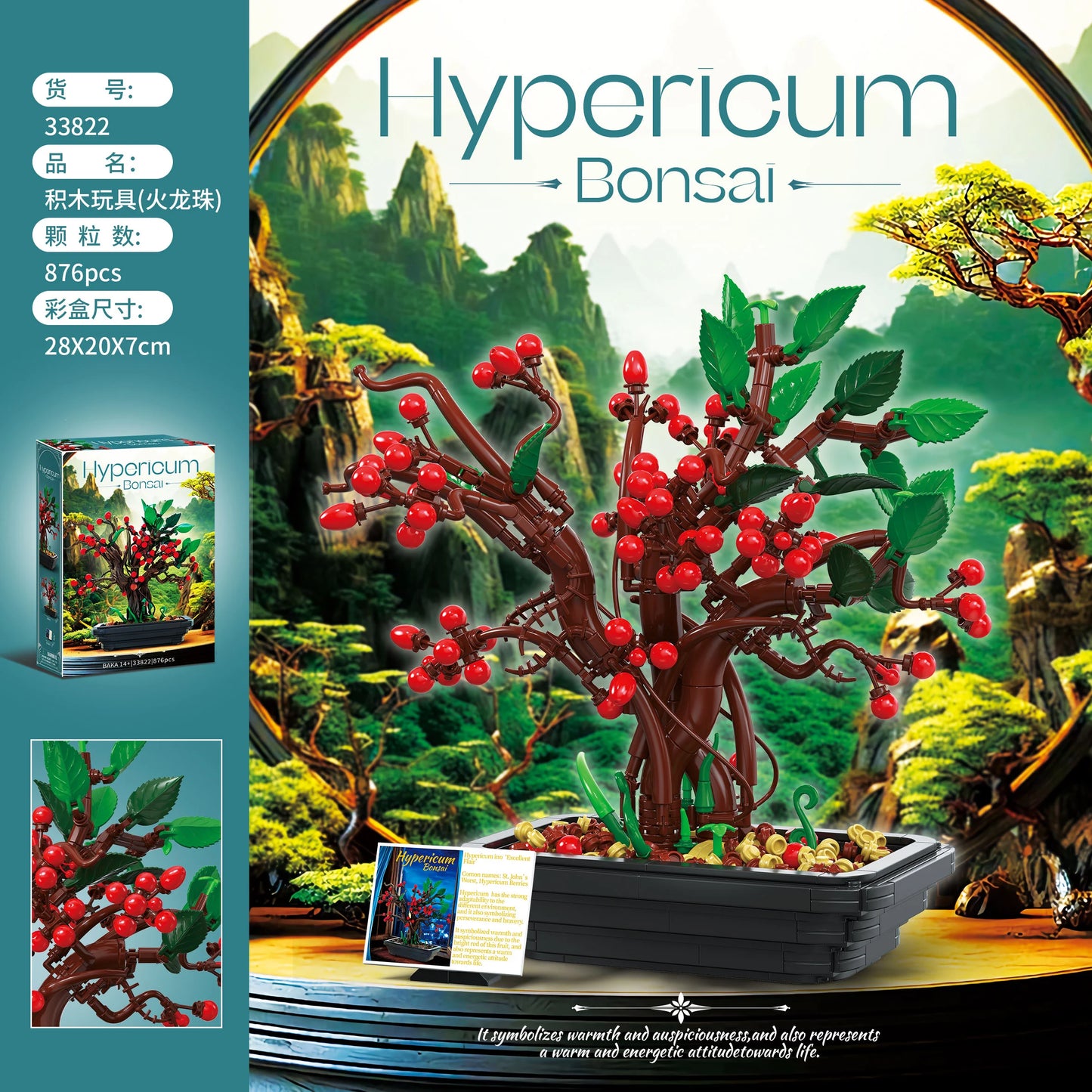 BAKA 33822 Hypericum bonsai
