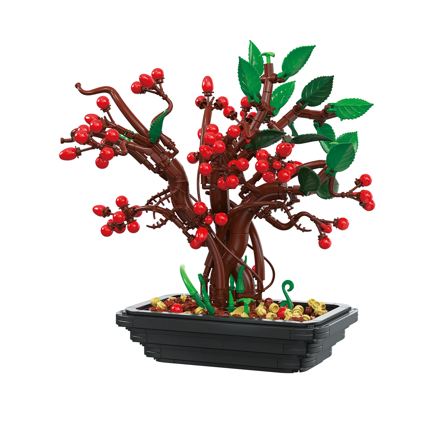 BAKA 33822 Hypericum bonsai