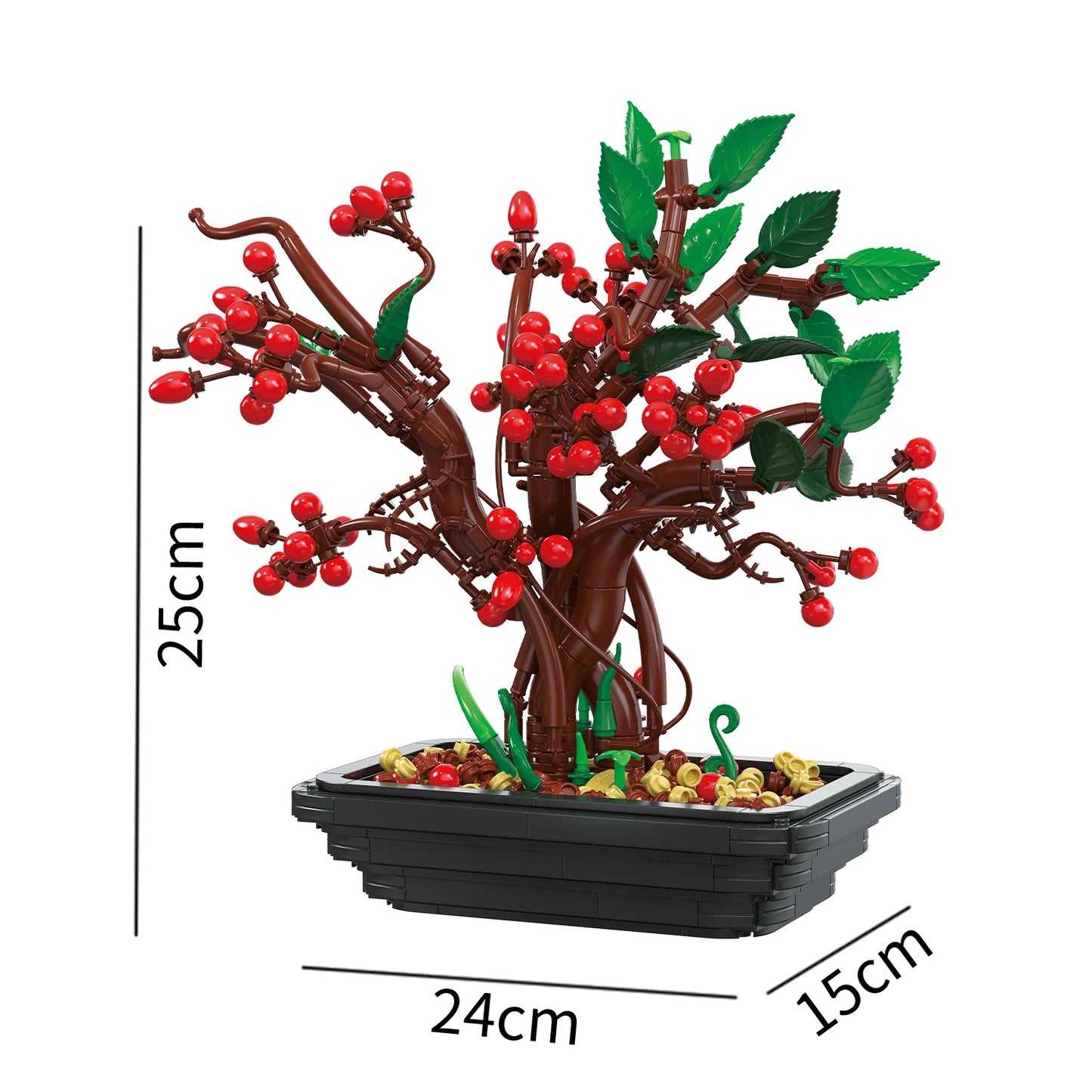 BAKA 33822 Hypericum bonsai