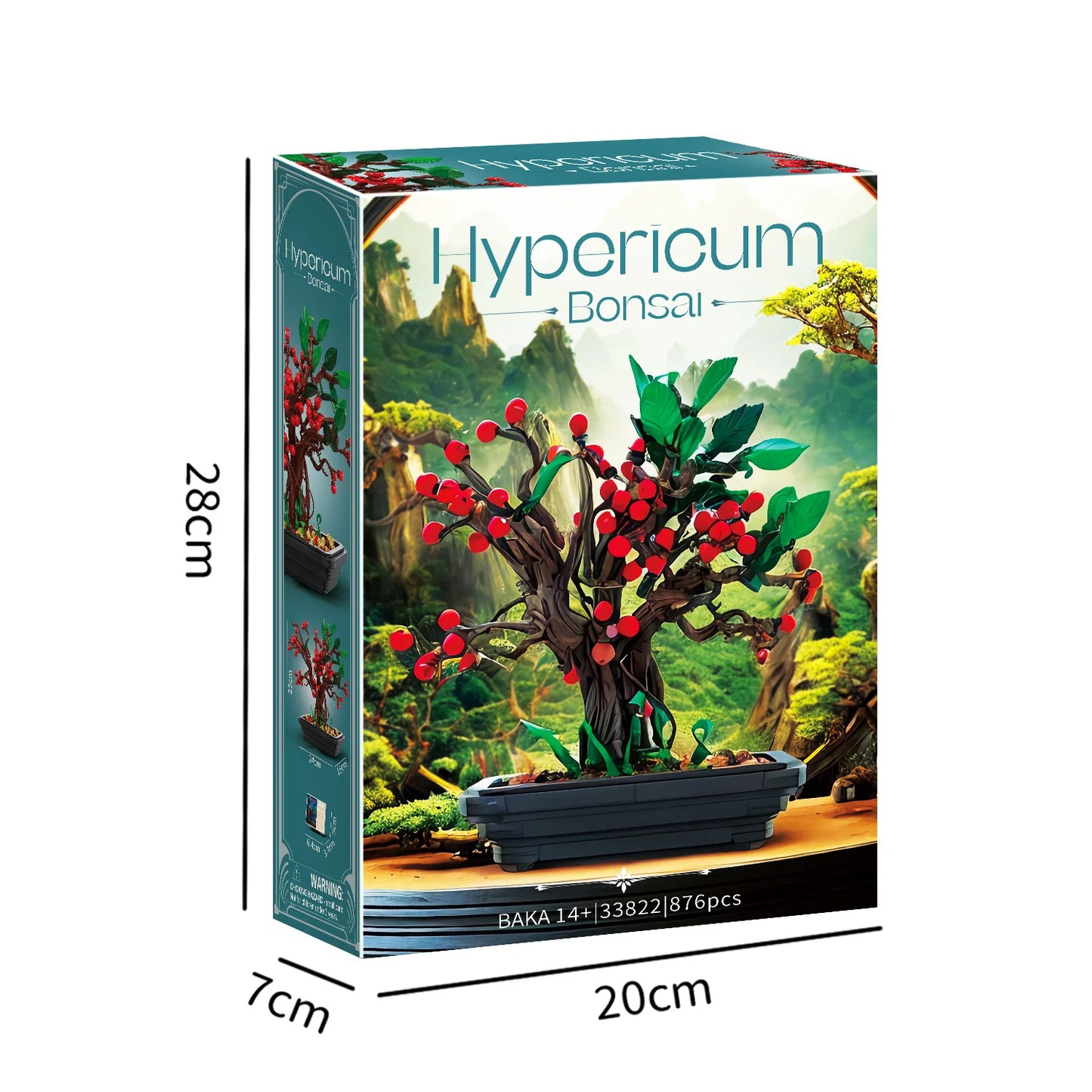 BAKA 33822 Hypericum bonsai