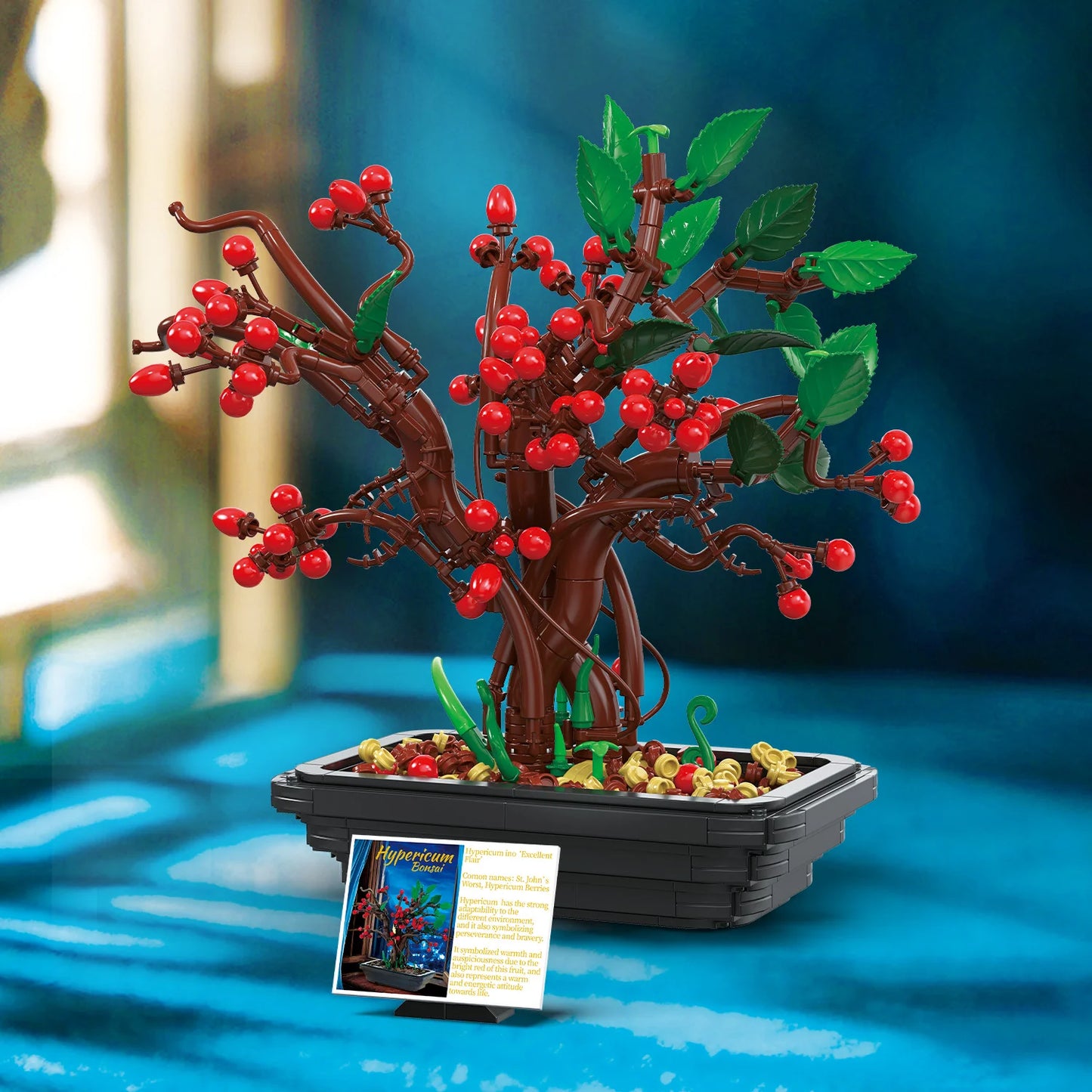 BAKA 33822 Hypericum bonsai