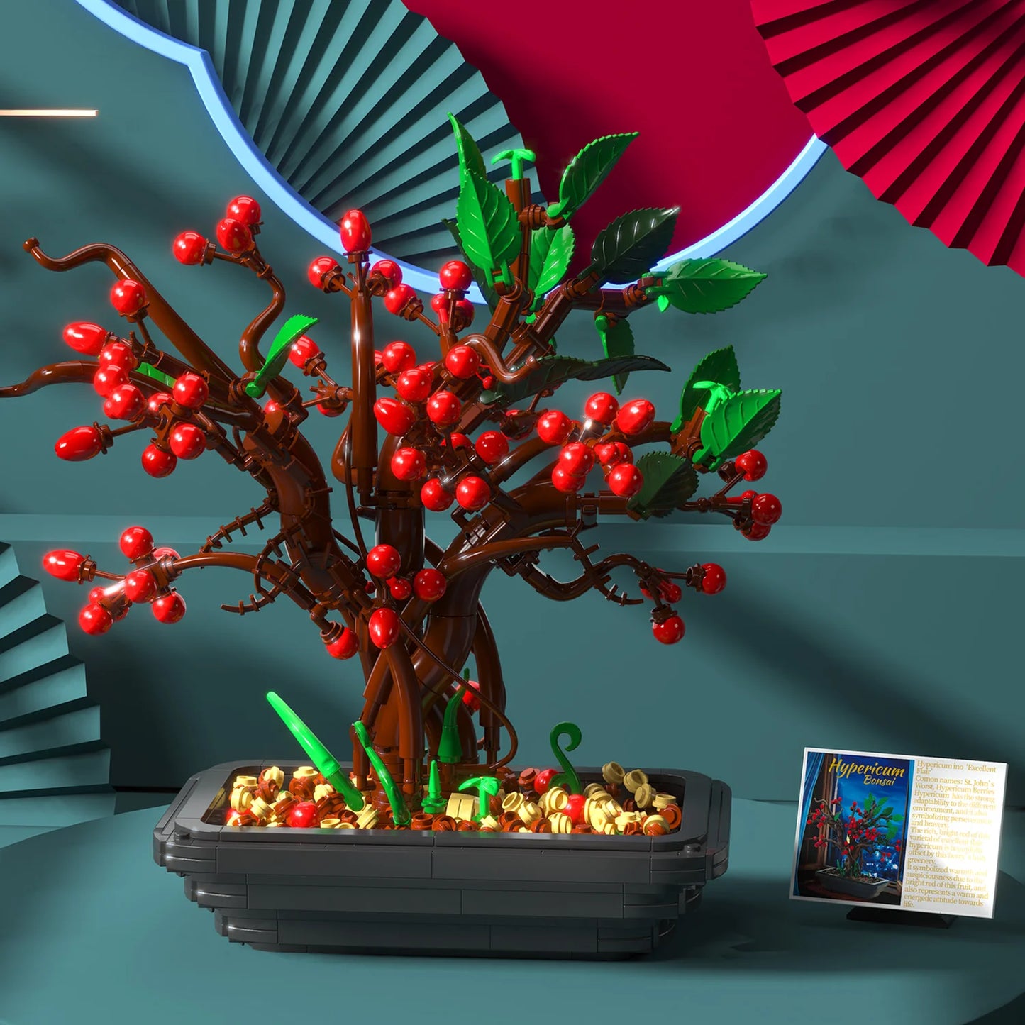 BAKA 33822 Hypericum bonsai