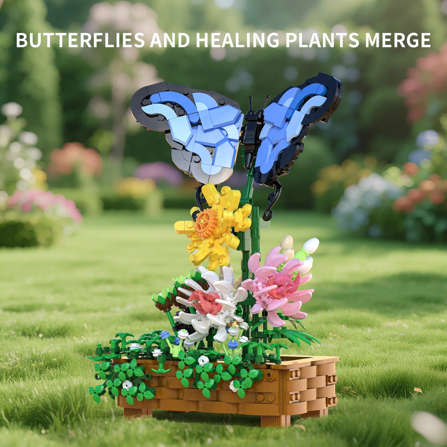 Xbert 66164 Butterfly