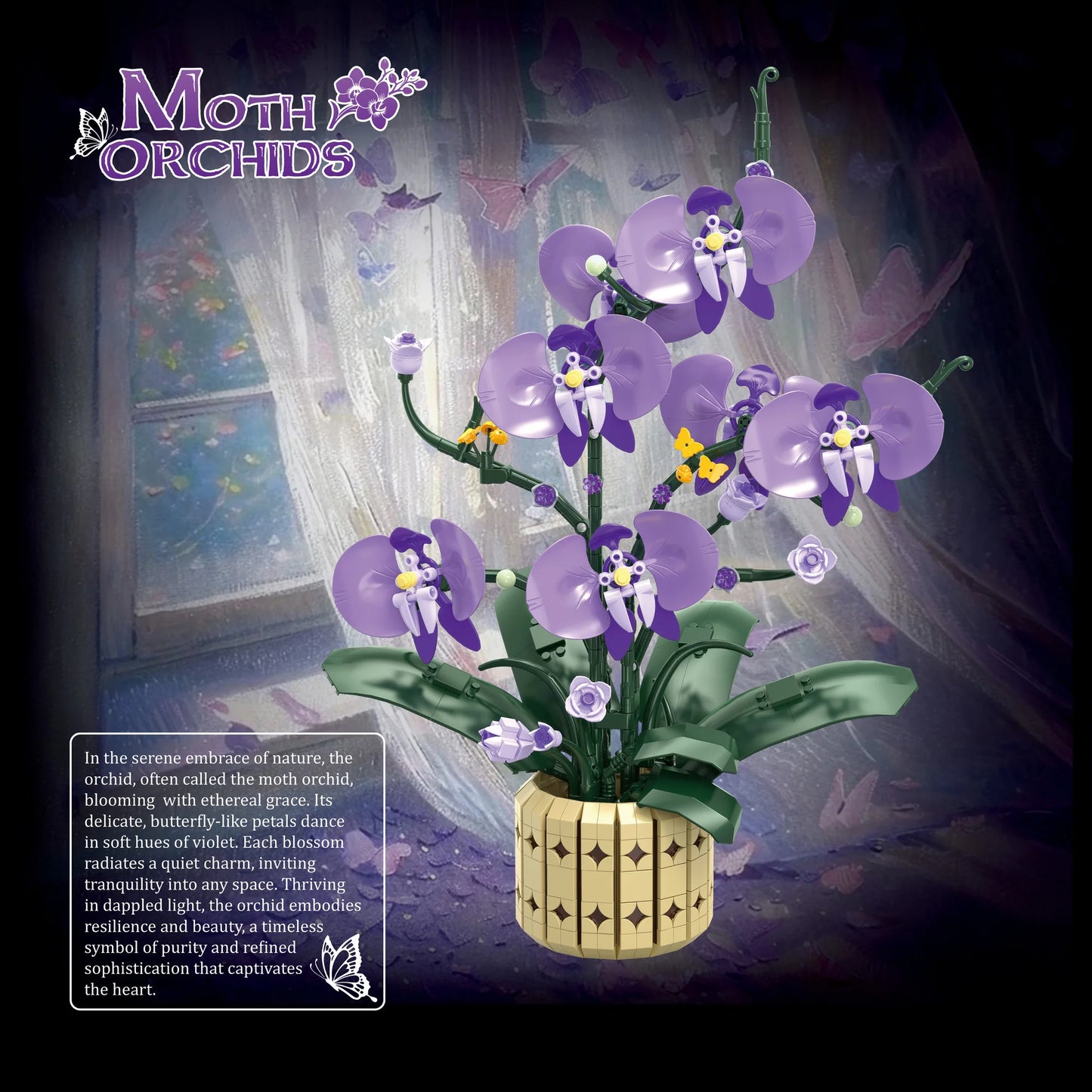 FreeTribe 11011 Moth Orchids