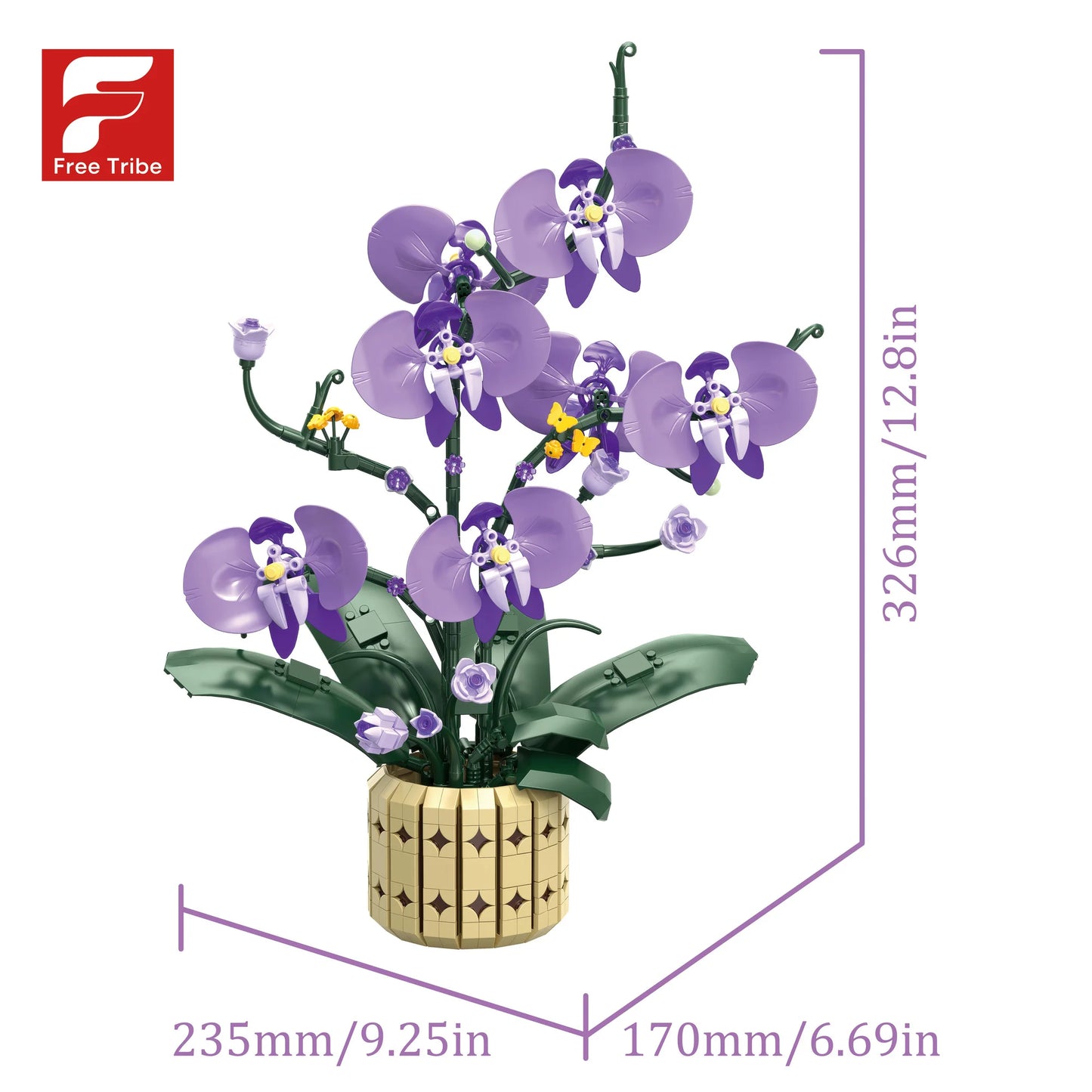 FreeTribe 11011 Moth Orchids
