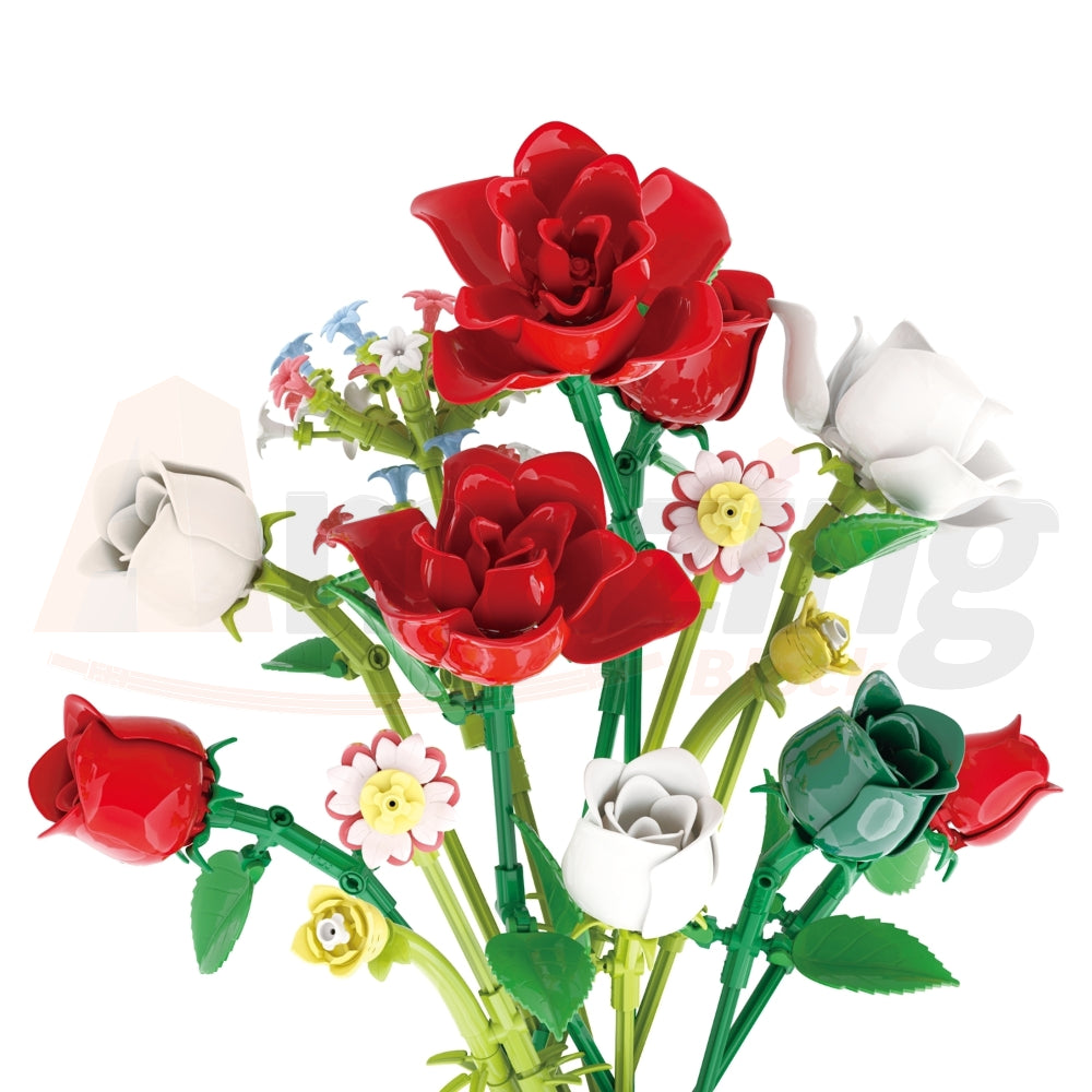 BAKA 33801 The Roses