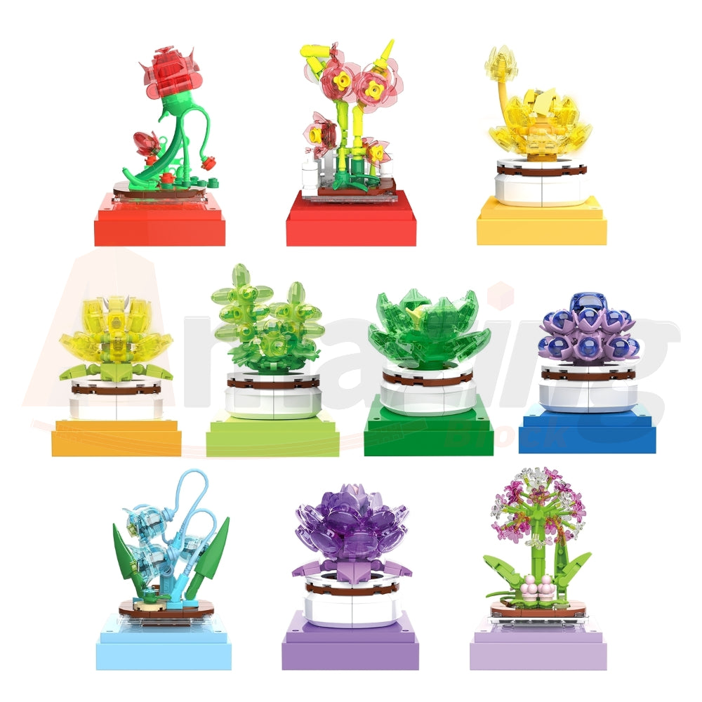 BAKA 33803 The Succulent Plants