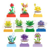 BAKA 33803 The Succulent Plants