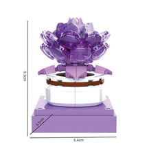 BAKA BK33803 The Succulent Plants