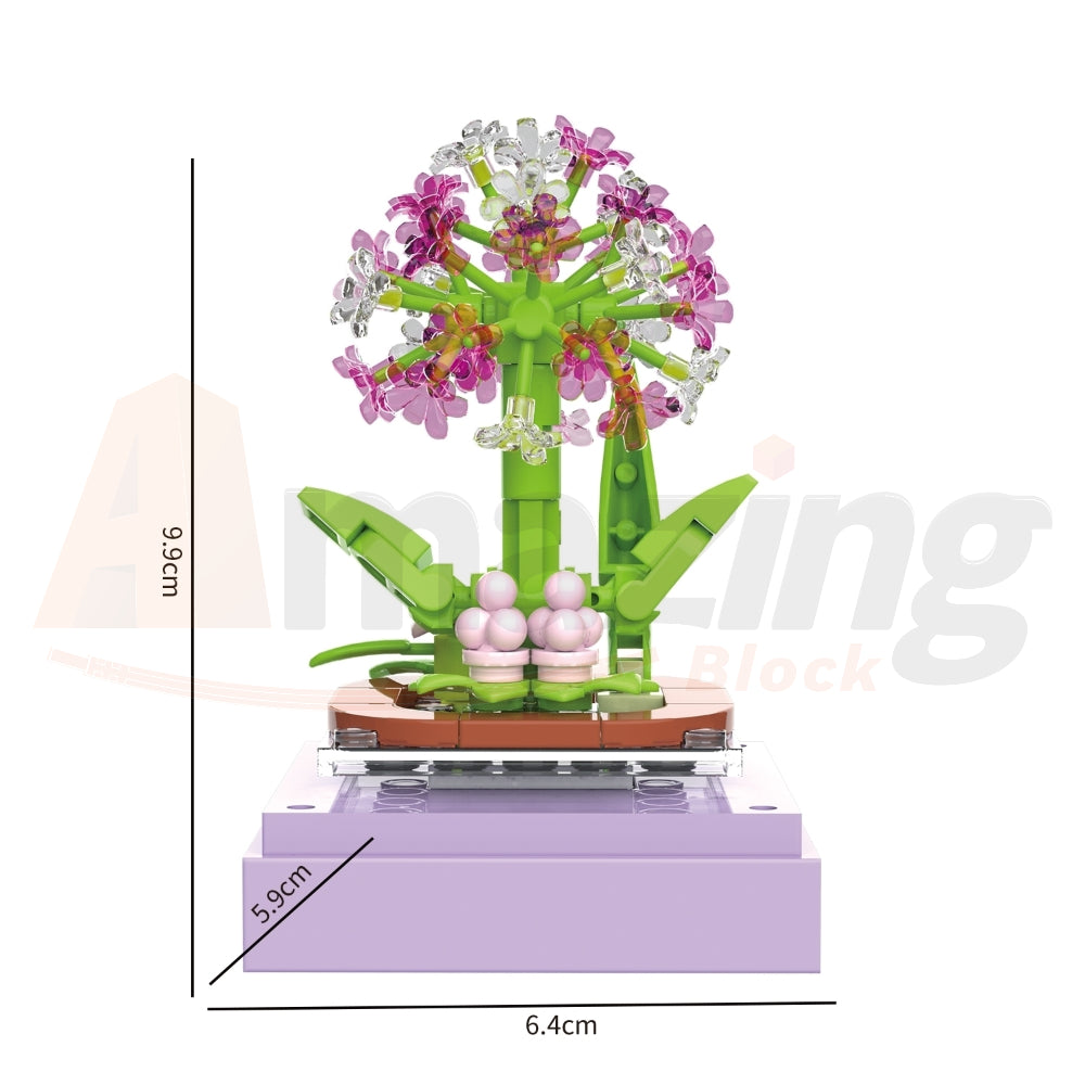 BAKA 33803 The Succulent Plants