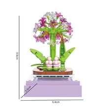BAKA BK33803 The Succulent Plants