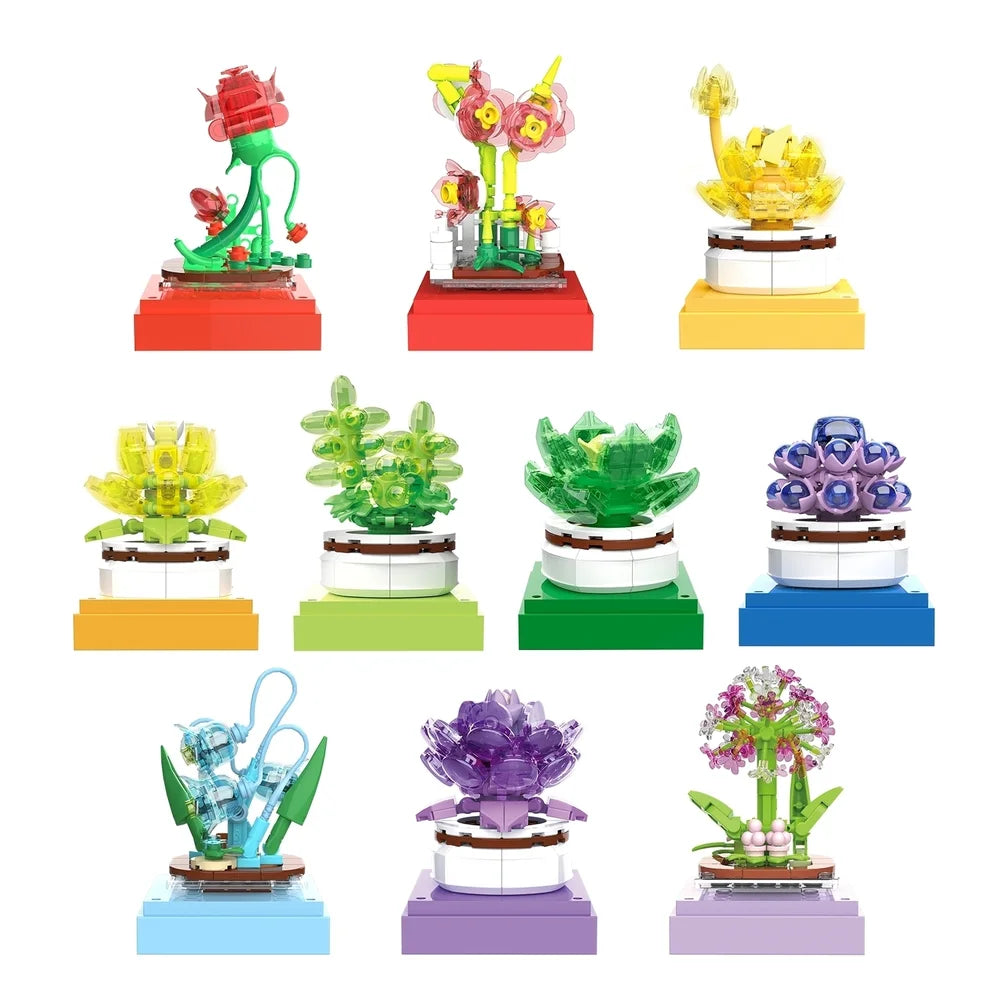 BAKA BK33803 The Succulent Plants
