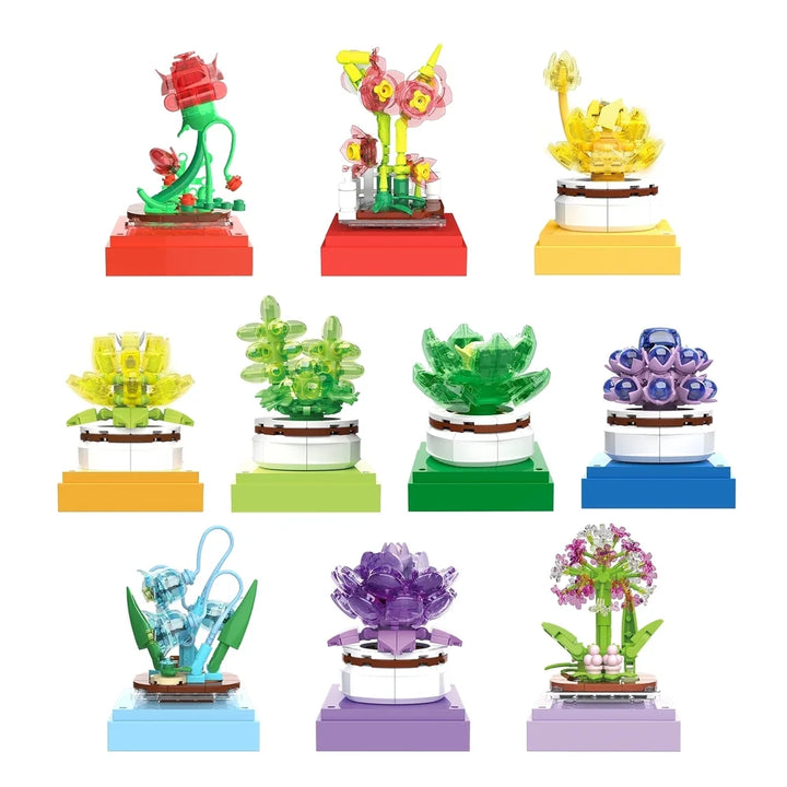 BAKA BK33803 The Succulent Plants