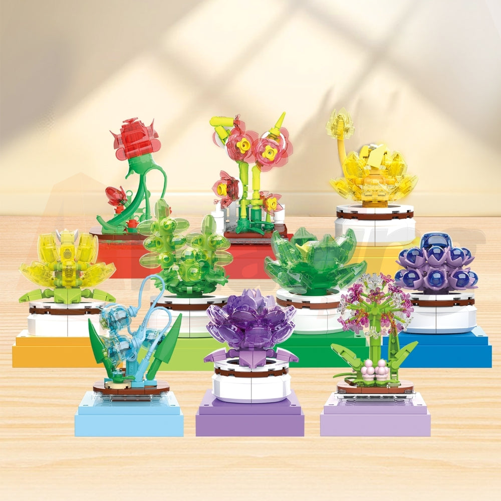 BAKA 33803 The Succulent Plants