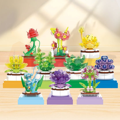 BAKA 33803 The Succulent Plants