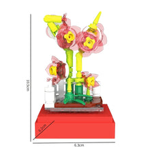 BAKA BK33803 The Succulent Plants
