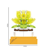 BAKA BK33803 The Succulent Plants