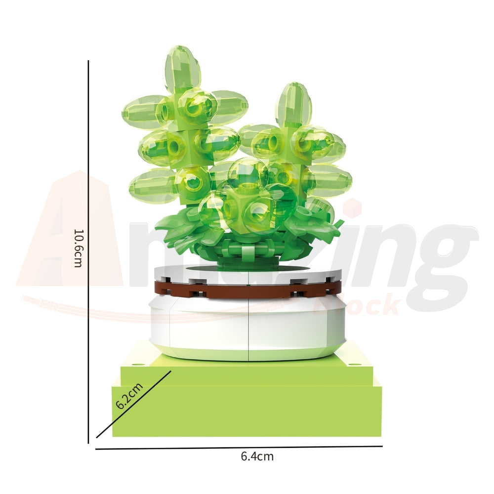 BAKA 33803 The Succulent Plants