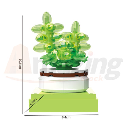 BAKA 33803 The Succulent Plants