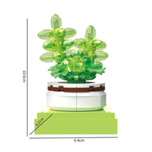 BAKA BK33803 The Succulent Plants