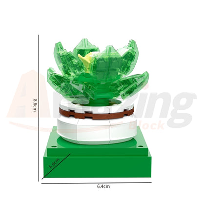 BAKA 33803 The Succulent Plants