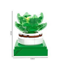 BAKA BK33803 The Succulent Plants