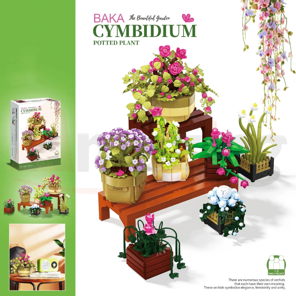 BAKA 33804 The Cymbidium Potted Plant