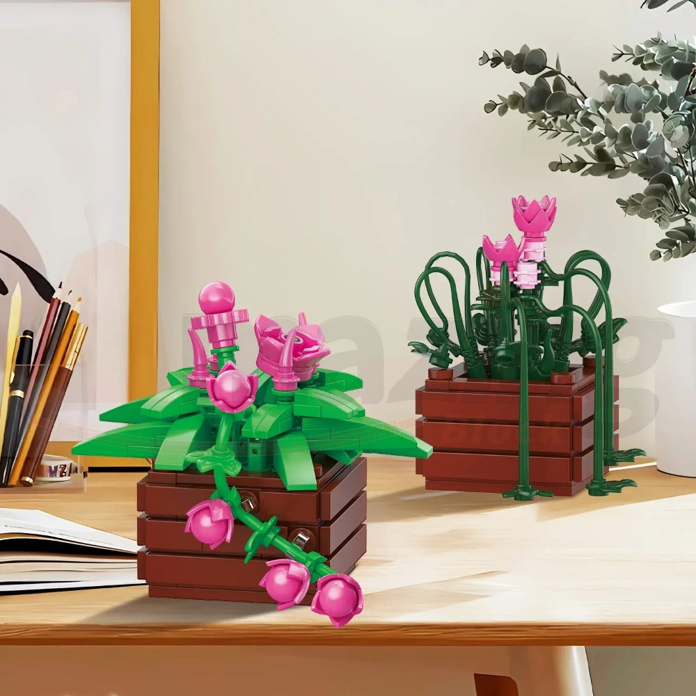 BAKA 33804 The Cymbidium Potted Plant