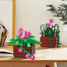 BAKA BK33804 The Cymbidium Potted Plant