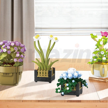 BAKA 33804 The Cymbidium Potted Plant