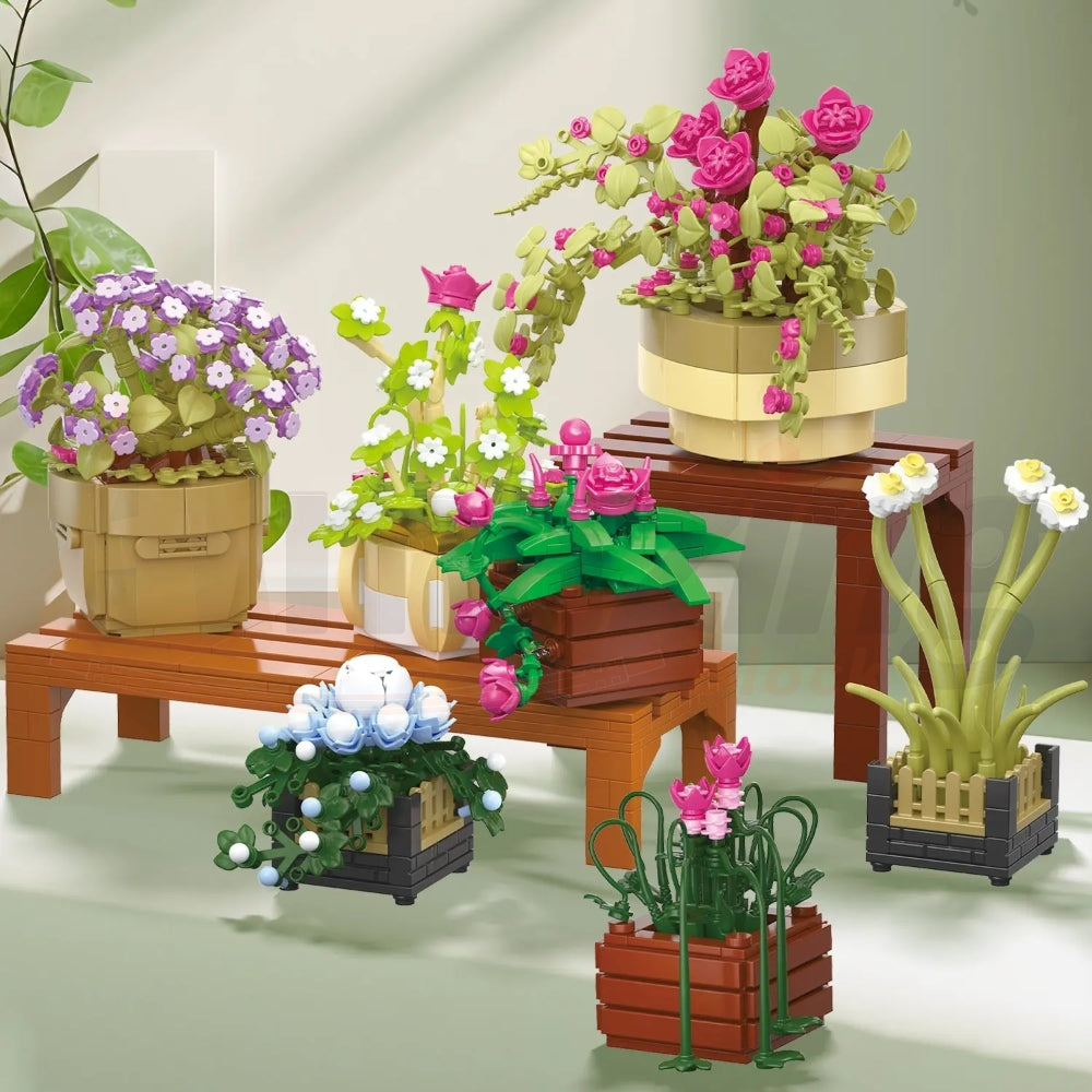 BAKA 33804 The Cymbidium Potted Plant