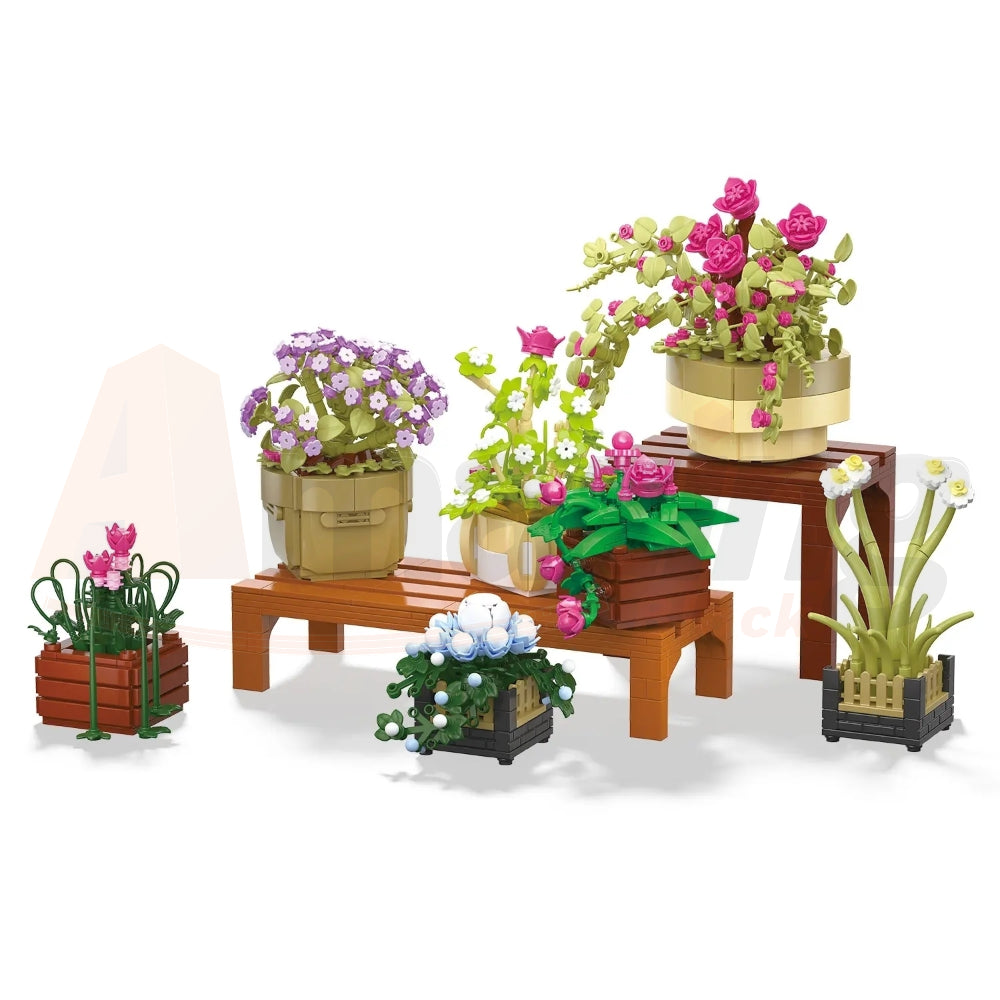 BAKA 33804 The Cymbidium Potted Plant
