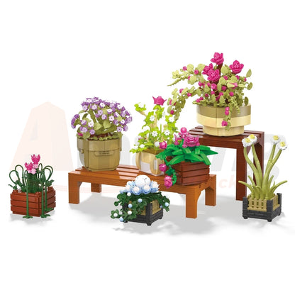 BAKA 33804 The Cymbidium Potted Plant