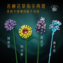 FreeTribe ZYBL-11001 The Words of Azure Flower