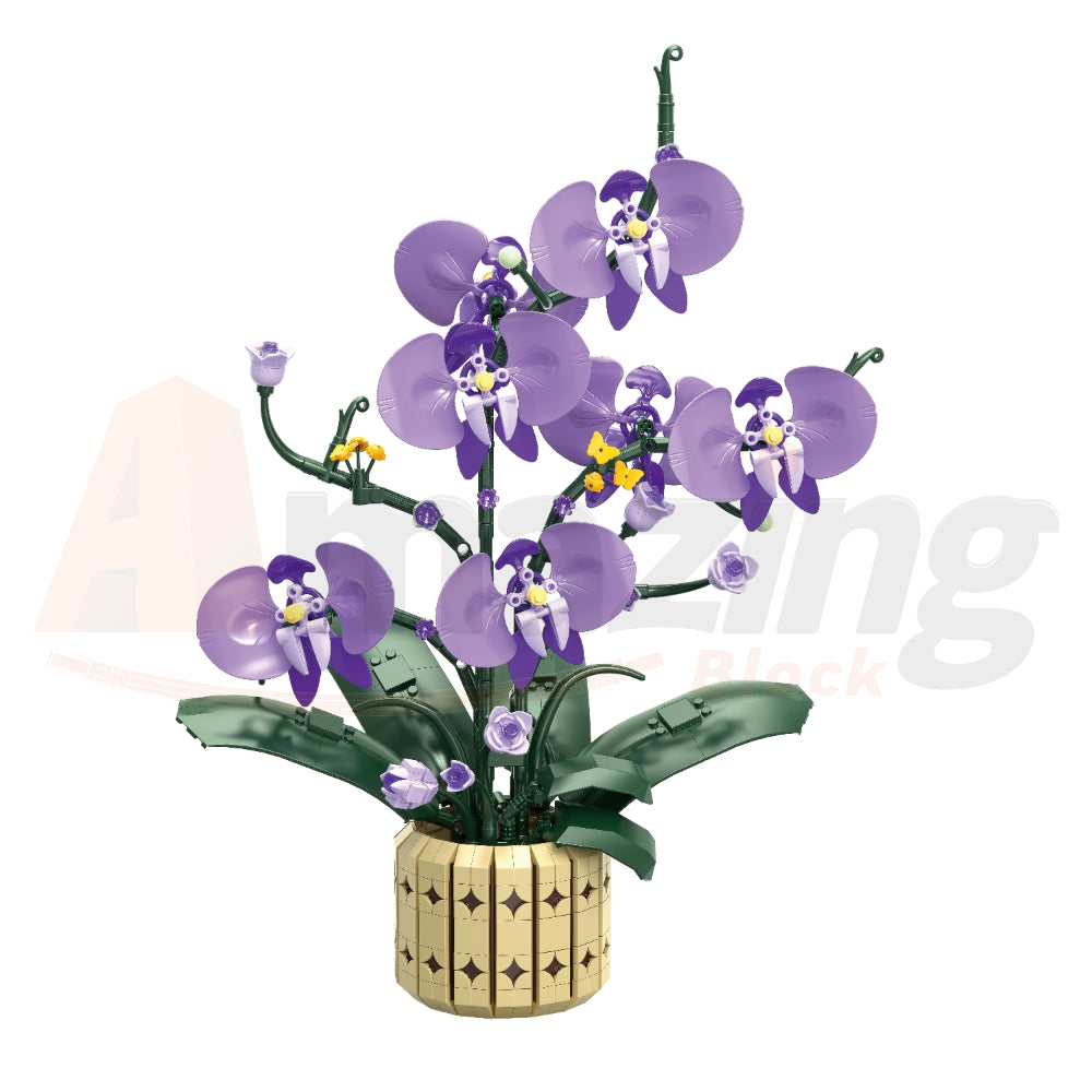 FreeTribe 11011 The Moth Orchids