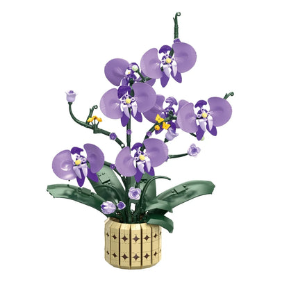 FreeTribe ZYBL-11011 The Moth Orchids