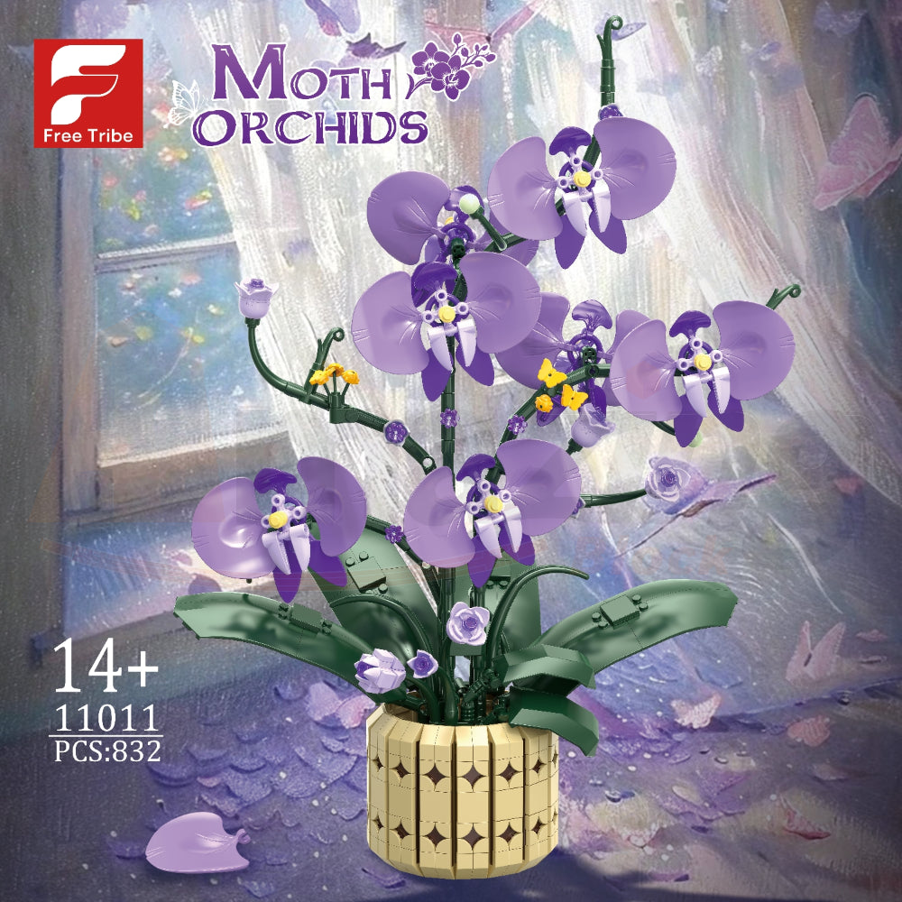 FreeTribe 11011 The Moth Orchids