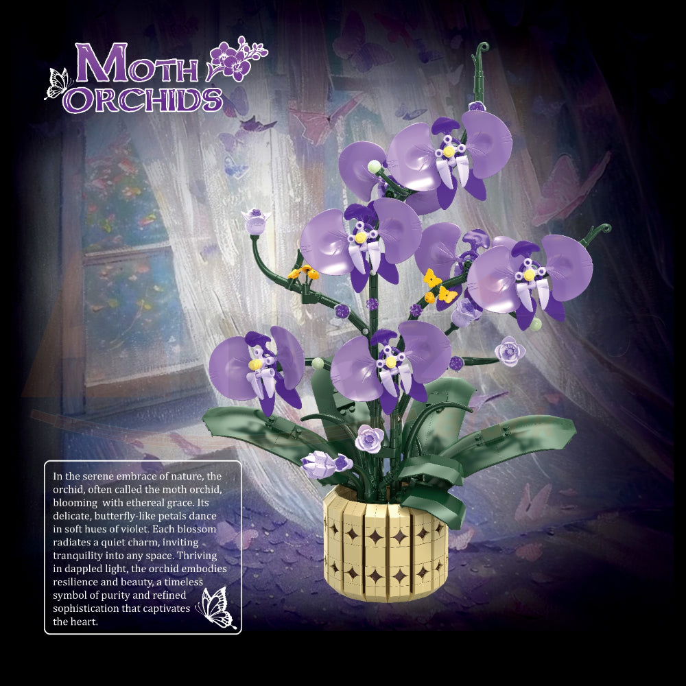 FreeTribe 11011 The Moth Orchids