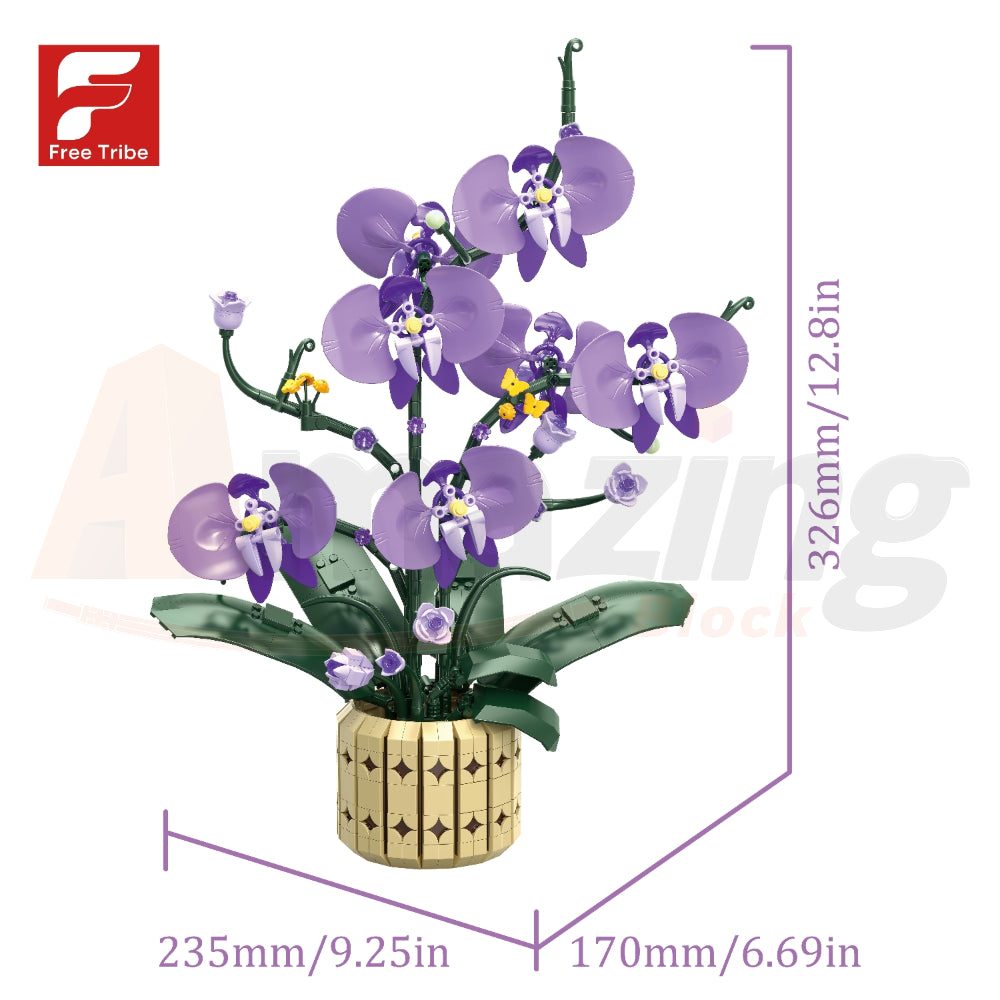 FreeTribe 11011 The Moth Orchids