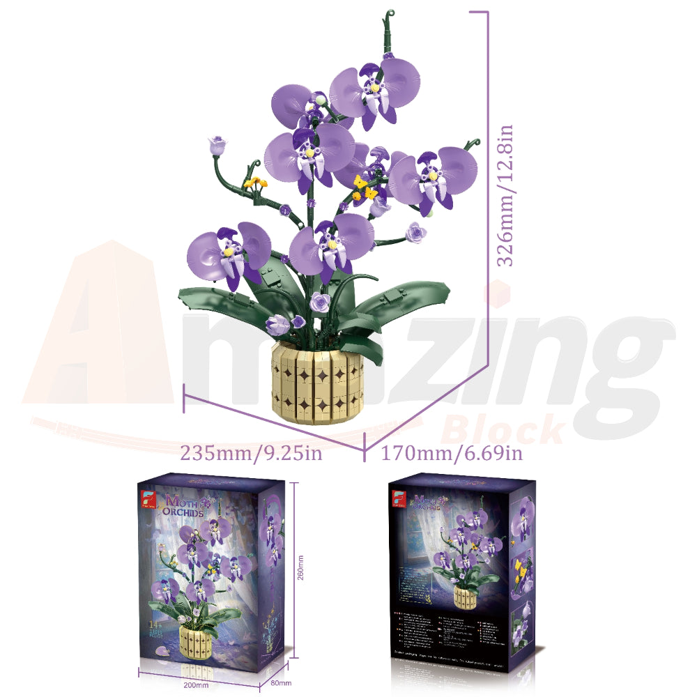 FreeTribe 11011 The Moth Orchids