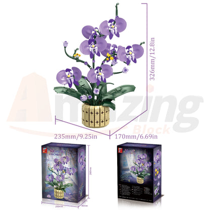 FreeTribe 11011 The Moth Orchids