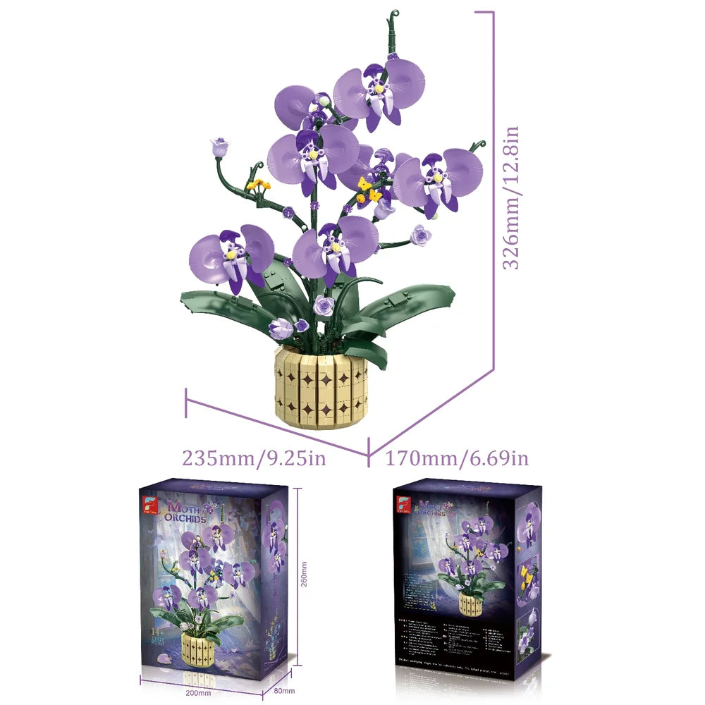 FreeTribe ZYBL-11011 The Moth Orchids
