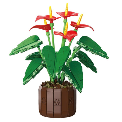 FreeTribe ZYBL-11033 The Red Anthuriums Story
