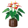 FreeTribe ZYBL-11033 The Red Anthuriums Story