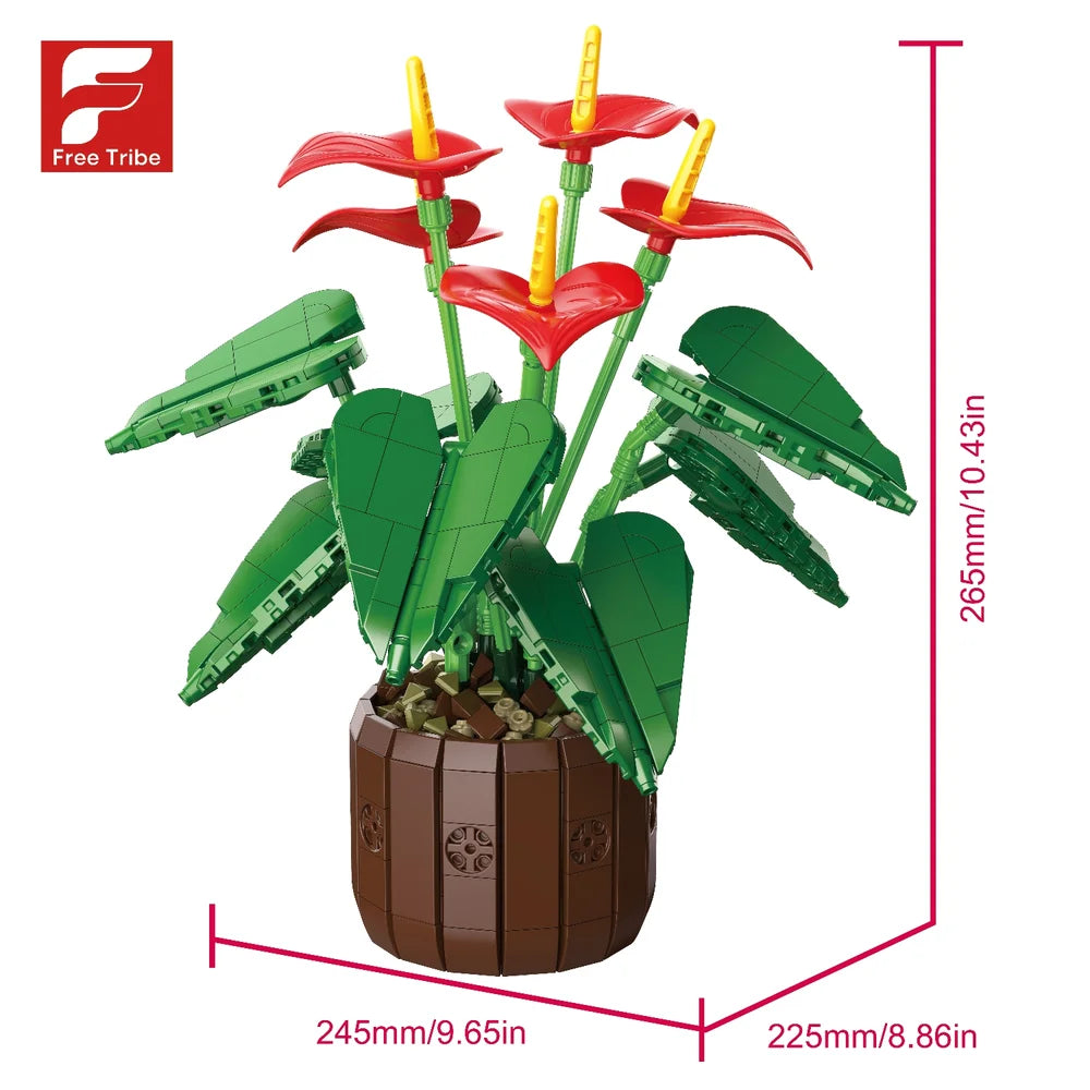 FreeTribe ZYBL-11033 The Red Anthuriums Story