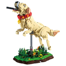 Xbert ZY66060 The Labrador Retriever