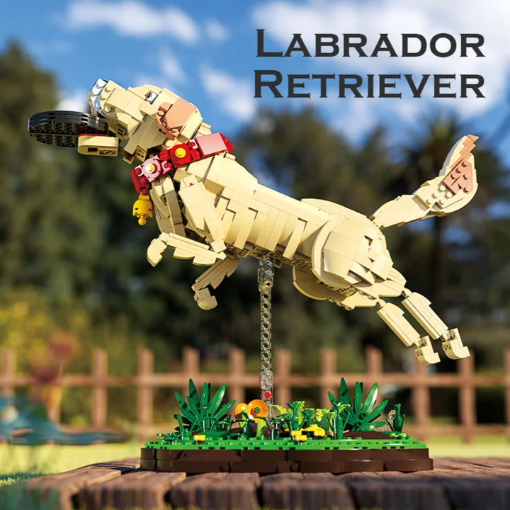 Xbert ZY66060 The Labrador Retriever