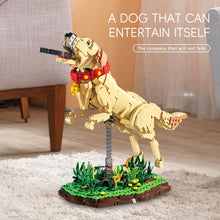 Xbert ZY66060 The Labrador Retriever