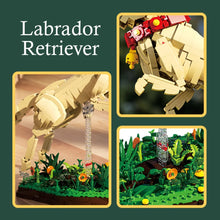 Xbert ZY66060 The Labrador Retriever